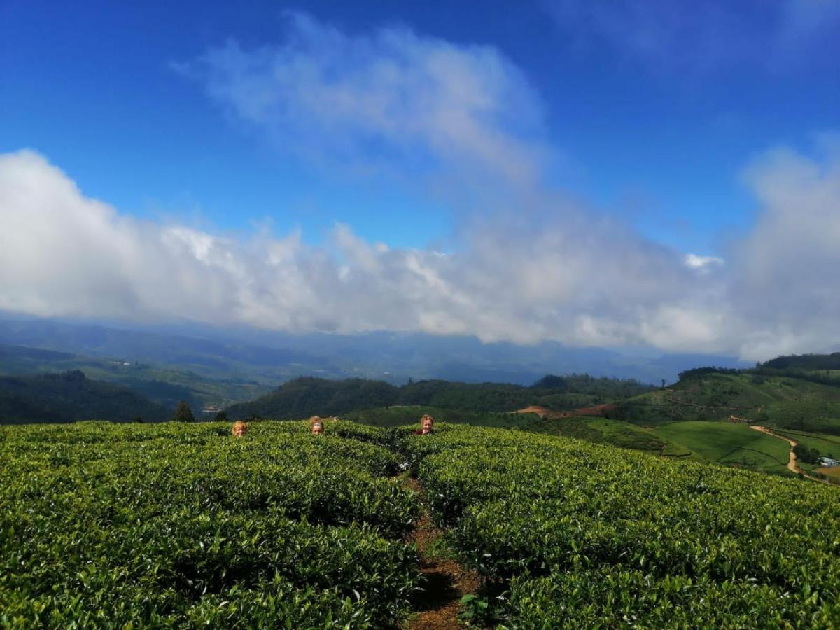 Unique View Nuwaraeliya 호텔 누와라 엘리야 외부 사진