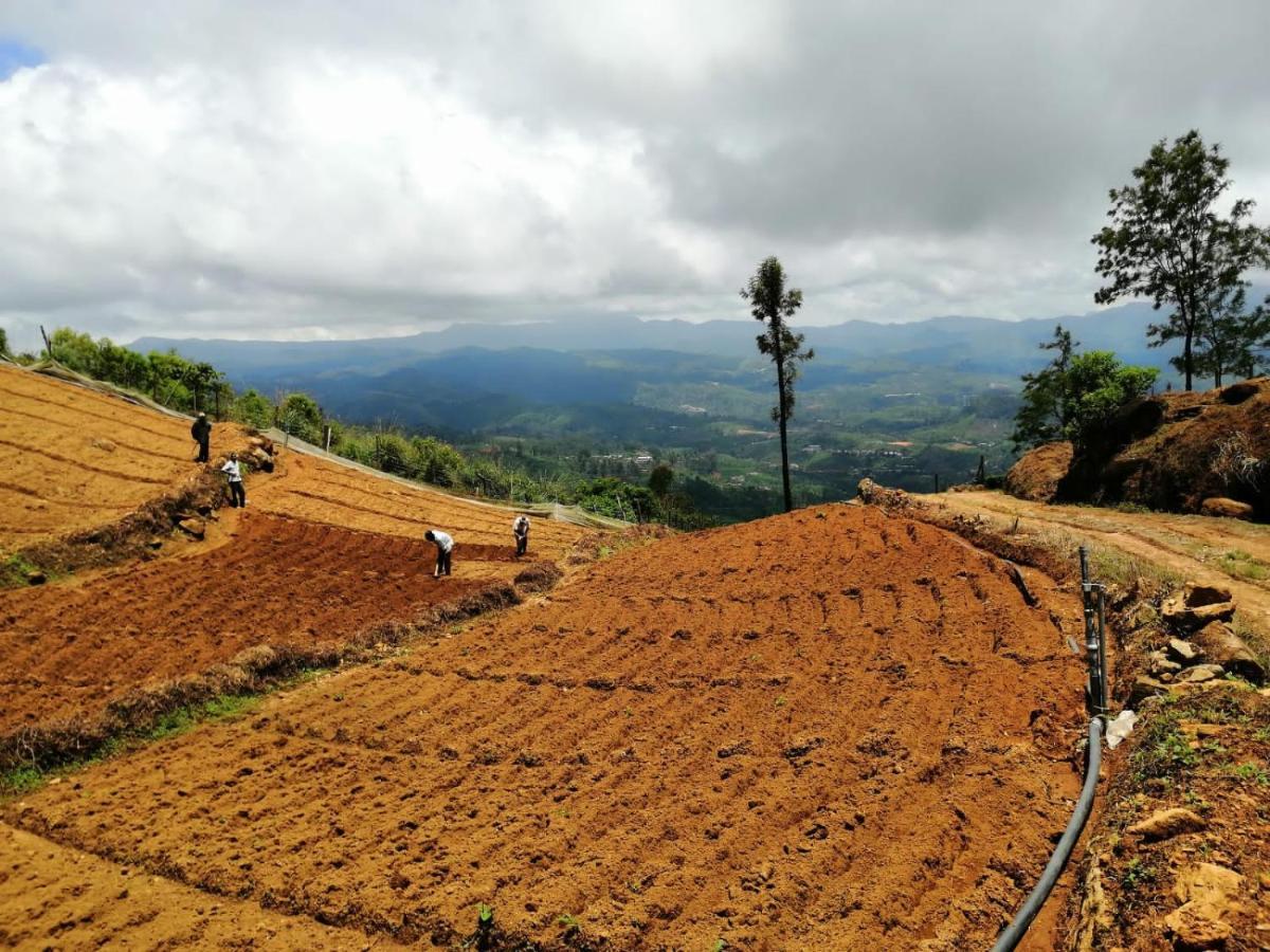 Unique View Nuwaraeliya 호텔 누와라 엘리야 외부 사진