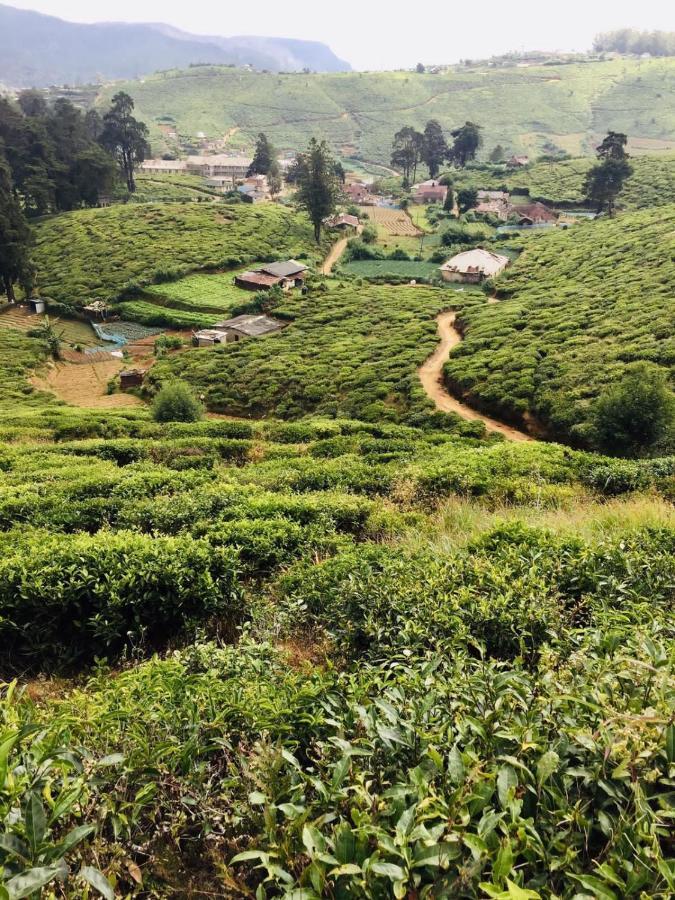 Unique View Nuwaraeliya 호텔 누와라 엘리야 외부 사진